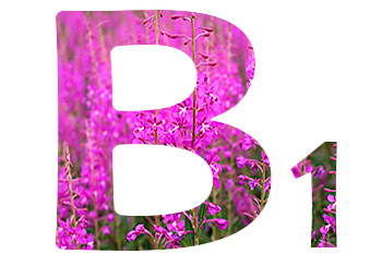 Витамины в Иван-чае. Витамин B1