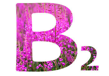 Витамины в Иван-чае. Витамин B2