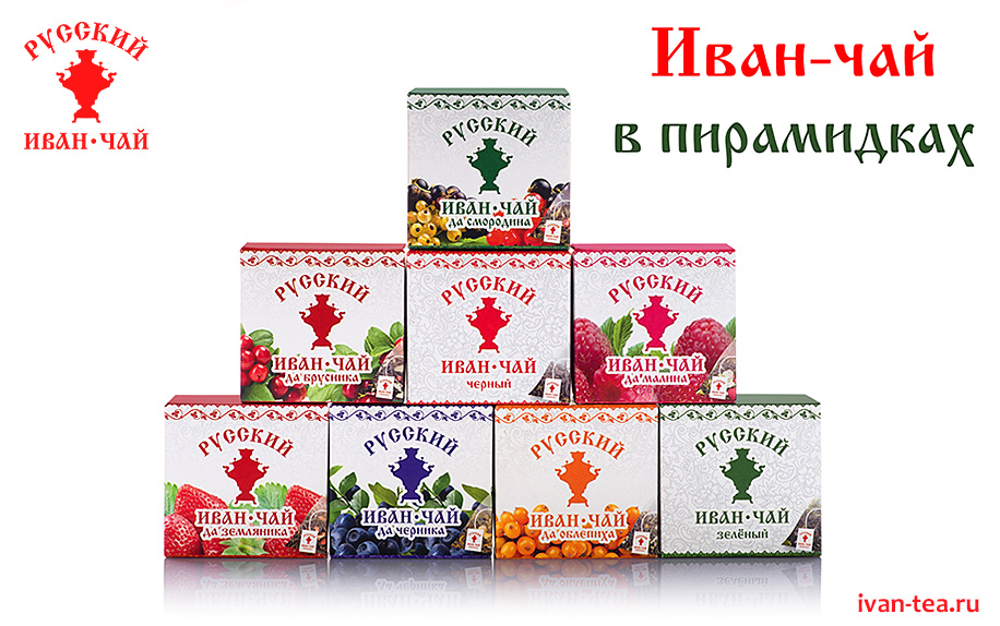 Купить Иван-чай в пирамидках от производителя Русский Иван-чай