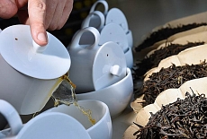 Круглый стол "Как обустроить рынок Иван-чая", Coffee & Tea Russian Expo, Москва
